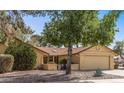 Inviting home featuring mature trees and a well-kept yard offers charm and curb appeal at 19503 N 142Nd Dr, Sun City West, AZ 85375