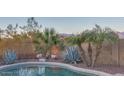 Inviting backyard pool area with desert landscaping and mountain views in the background at 9796 E Stone Cir Ln, Gold Canyon, AZ 85118