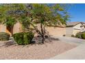 Single-story home featuring desert landscaping, a two-car garage, and classic Southwest architecture at 42578 W Rosalia Dr, Maricopa, AZ 85138