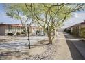 Community setting showcasing mature trees, seating, and walking paths at 12887 N 99Th Dr, Sun City, AZ 85351