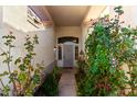 Entrance of the home is adorned with lush greenery and a secure gate at 1573 W Chicago St, Chandler, AZ 85224