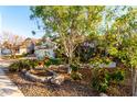 A view of a home's lush front yard, beautiful plants, and desert landscaping at 1573 W Chicago St, Chandler, AZ 85224