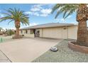 Inviting ranch-style home with an extended driveway and mature palm trees, perfect for desert living at 9501 W Hidden Valley Cir, Sun City, AZ 85351