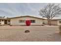 Exterior view of a single story home with desert landscaping and a red bush at 19481 N Star Ridge Dr, Sun City West, AZ 85375