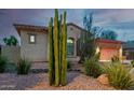 Front yard with desert plants and a well-maintained xeriscaped garden at 9295 W Quail Track Dr, Peoria, AZ 85383