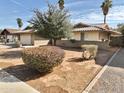 Landscaped front yard featuring a mature tree and lush shrubs at 1455 W Posada Ave, Mesa, AZ 85202