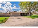 Charming single-story home with a wide driveway, a basketball hoop, and mature trees shading the front yard at 801 W Tyson St, Chandler, AZ 85225