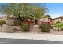 Inviting home exterior showcasing desert landscaping, mature trees, and a gated front entrance at 9869 E Davenport Dr, Scottsdale, AZ 85260