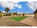 Spacious backyard featuring a well-maintained lawn, mature trees, and an inviting patio area with string lights at 11202 N 26Th Way, Phoenix, AZ 85028