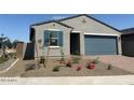 Single-story home with desert landscaping including flowering bushes and stone mulch at 3822 S 87Th Dr, Tolleson, AZ 85353