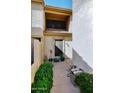 A welcoming entry with potted plants creates a cozy and inviting entrance to the home at 13642 S 42Nd St, Phoenix, AZ 85044
