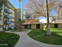 Beautiful courtyard featuring a lush green lawn, mature trees, and a walkway at 349 E Thomas Rd # E402, Phoenix, AZ 85012