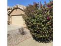 Exterior view of a home featuring desert landscaping and a large bougainvillea at 8648 W Fargo Dr, Peoria, AZ 85382