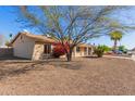 Well-maintained home featuring desert landscaping with flowering bushes, mature trees, and a lush lawn at 3238 E Cholla St, Phoenix, AZ 85028