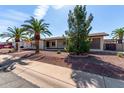 Lovely single-story home with desert landscaping and mature trees in the front yard at 6409 E Duncan St, Mesa, AZ 85205