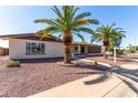 Inviting single-story home featuring desert landscaping, mature palms, and a sidewalk leading to the entrance at 6409 E Duncan St, Mesa, AZ 85205