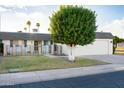 Charming single-level home featuring a two-car garage, mature trees, and manicured landscaping at 10523 W Roundelay Cir, Sun City, AZ 85351