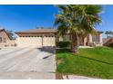 Charming home featuring a three-car garage, lush lawn, and mature palm tree, offering curb appeal at 8554 W Keim Dr, Glendale, AZ 85305