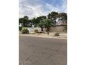 Desert landscaping with palm trees and a green lawn beyond a retaining wall at 150 W Tam Oshanter Dr, Phoenix, AZ 85023