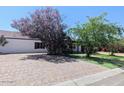 Beautiful home featuring mature trees, lush green grass, a brick driveway, and privacy at 2923 E Wahalla Ln, Phoenix, AZ 85050