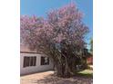 Charming home with a blooming tree and well-maintained landscaping and brick paved walkway at 2923 E Wahalla Ln, Phoenix, AZ 85050