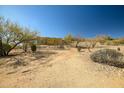 View of the backyard with its natural desert landscape, native trees, and rock formations at 50408 N 22Nd Ave, New River, AZ 85087