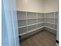 Walk-in pantry with ample shelving for organized storage at 7050 E Brushy Bill Rd, San Tan Valley, AZ 85143