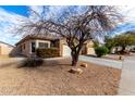 View of a single-story home featuring desert landscaping and a mature shade tree at 8850 W Laurel Ln, Peoria, AZ 85345