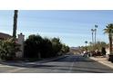 Scenic street view showcasing mature trees and well-maintained homes in a quiet neighborhood at 14440 N 56Th Pl, Scottsdale, AZ 85254