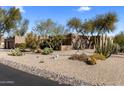 Desert landscape with various cacti and plants, complemented by decorative rock and gravel at 25621 N Cordova Ln, Rio Verde, AZ 85263