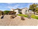 Landscaped front yard featuring desert landscaping, lush green grass and mature desert plants at 30488 N 126Th Dr, Peoria, AZ 85383