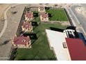 An aerial view shows outdoor lounging areas, artificial turf lawns and shaded picnic areas at 12426 E Wallflower Ln, Florence, AZ 85132