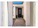 Front door with glass detailing, a paved walkway and decorative plants at 11807 W Parkway Ln, Avondale, AZ 85323