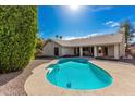 Backyard pool with a sun-drenched deck, surrounded by lush greenery and palm trees at 1938 E Myrna Ln, Tempe, AZ 85284