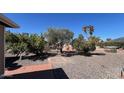 A gravel backyard with a variety of trees, plants, and shrubs and a brick walkway at 9714 W Terrace Ln, Sun City, AZ 85373