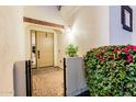 Inviting front entrance with a decorative security gate, tiled walkway, and vibrant bougainvillea at 2777 W Queen Creek Rd # 9, Chandler, AZ 85248