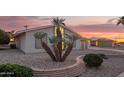 Charming single-story home with gravel landscaping, unique desert plants, and a lush green bush at 11005 W Crestbrook Dr, Sun City, AZ 85351