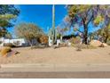 Lovely low maintenance desert front yard with native trees and an appealing architectural design at 12836 N 60Th St, Scottsdale, AZ 85254