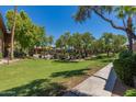 Serene common area featuring lush green grass, mature shade trees, and manicured landscaping at 7009 E Acoma Dr # 1046, Scottsdale, AZ 85254