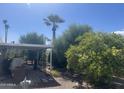 Backyard with shade cover, lush green trees, and a view of a palm tree on a clear day at 2744 N Trevino Pl, Mesa, AZ 85215