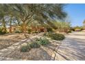 Attractive home exterior with a stone pathway surrounded by mature trees and lush desert landscaping at 8008 N 66Th St, Paradise Valley, AZ 85253