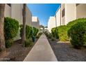 Paved walkway with lush landscaping between modern-style residential buildings at 8588 E Indian School Rd # G, Scottsdale, AZ 85251