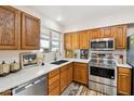 Well-lit kitchen featuring stainless steel appliances, wood cabinets, and a double-basin sink at 10620 W Snead Dr, Sun City, AZ 85351