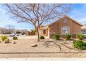 Inviting single-Gathering home with desert landscaping, a mature tree, and a view of the neighborhood at 12312 N 147Th Ln, Surprise, AZ 85379