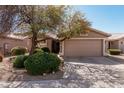 Inviting single-story home featuring desert landscaping, a wide driveway, and a two-car garage at 1403 E Las Colinas Dr, Chandler, AZ 85249