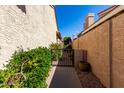 Private side yard entrance with a secure gate and a serene garden pathway at 4226 E Jojoba Rd, Phoenix, AZ 85044