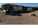 Well-maintained front yard featuring mature landscaping at 8235 E Medina Ave, Mesa, AZ 85209