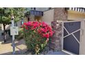 The exterior is complemented by vibrant flowering bushes, adding color and a touch of natural beauty at 2241 E Pinchot Ave # B3, Phoenix, AZ 85016