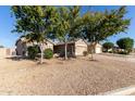 Inviting curb appeal with mature trees shading the front yard at 6129 S White Pl, Chandler, AZ 85249