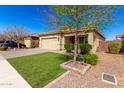 Inviting single-story home showcasing a manicured lawn, mature tree, and brick-paved driveway at 828 W Leadwood Ave, San Tan Valley, AZ 85140